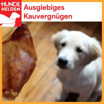 Trockenfutter für Hunde 15 Kg
