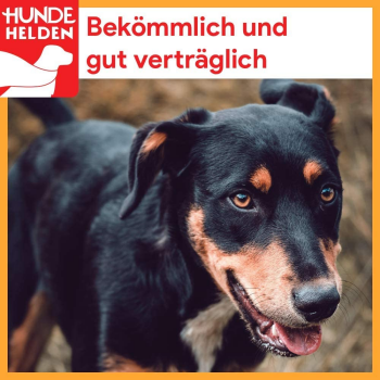 Getrocknete Kamelnackensehnen