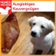 Getrocknete Kamelnackensehnen 1 Kg