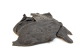 Getrocknete Rinderleber