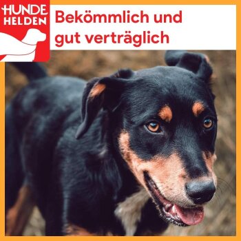 Getrocknete Kamelachillessehnen