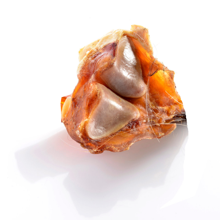 Pferde Achillesknochensehnen getrocknet 100 Gramm