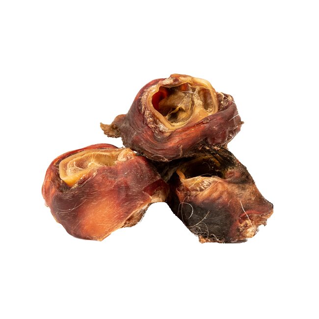 Getrocknete Rinderohrmuschel aus deutscher Herstellung, 3,10