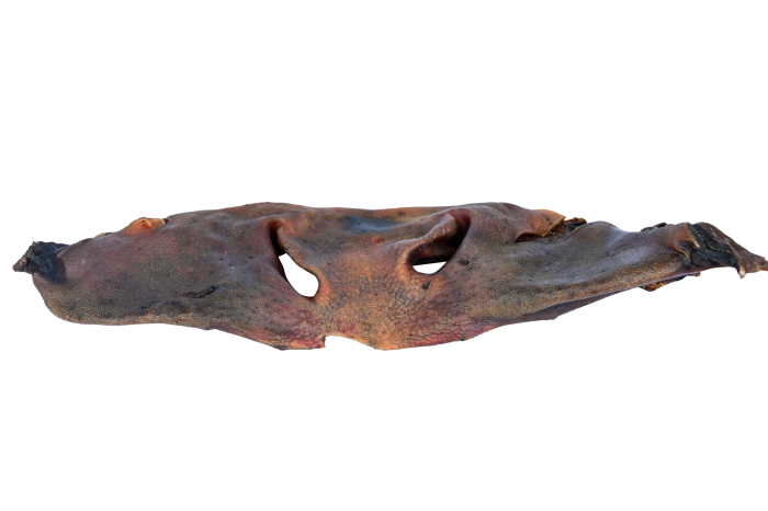 Getrocknete Rindernasen ohne Fell