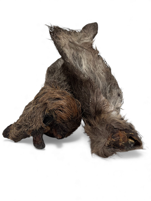 Hirschohren getrocknet mit Fell 1kg