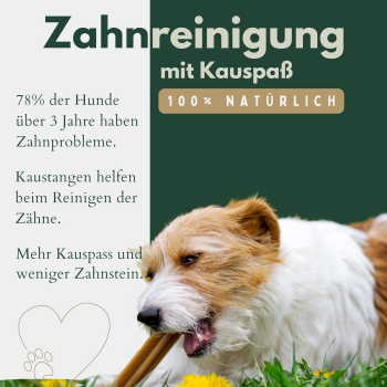 Kalbshufe getrocknet 25 Stück